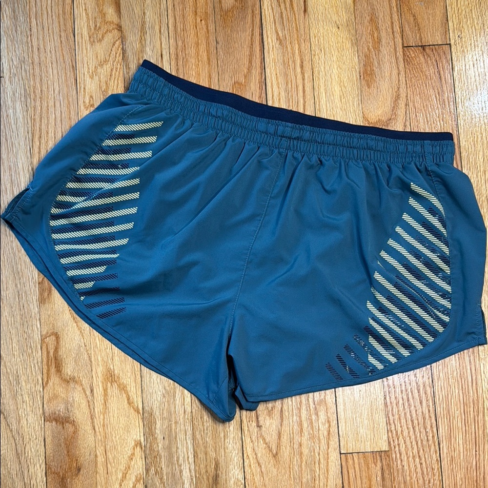 Nike Shorts Women's Blue Dri-FIT Running Shorts Womens L
